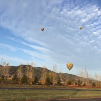Balloons in paradise Nov 2015