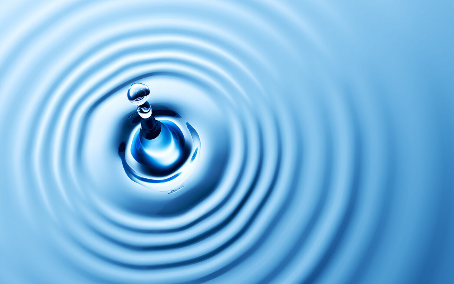 Perspective » a BDCo Blog